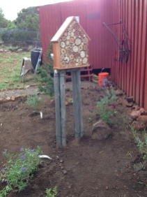 native bee house