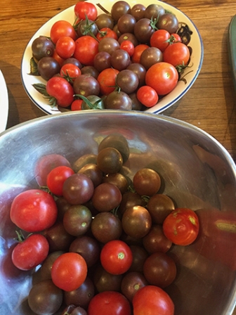 Black cherry tomatoes and Santorini tomatoes